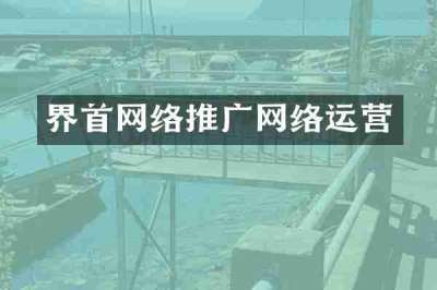 界首网络推广网络运营