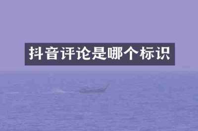 抖音评论是哪个标识