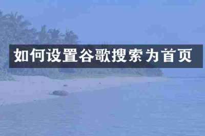 如何设置谷歌搜索为首页