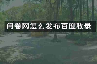 问卷网怎么发布百度收录