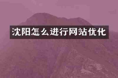 沈阳怎么进行网站优化
