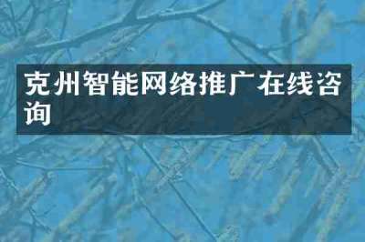 克州智能网络推广在线咨询