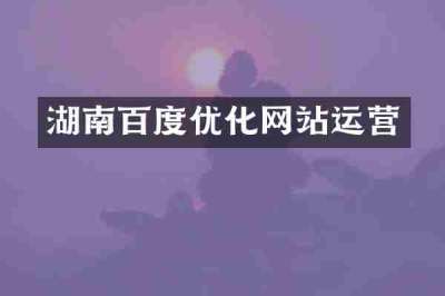 湖南百度优化网站运营