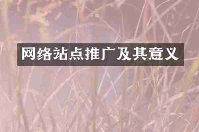 网络站点推广及其意义