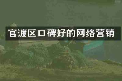 官渡区口碑好的网络营销