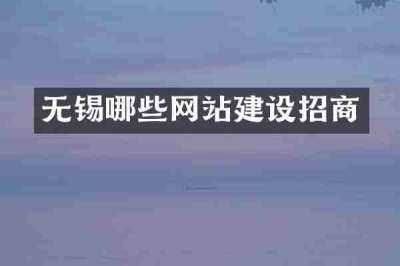 无锡哪些网站建设招商
