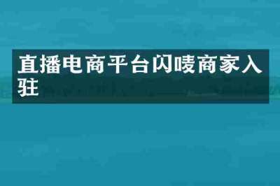 直播电商平台闪唛商家入驻