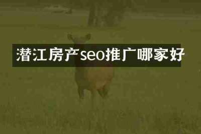 潜江房产seo推广哪家好