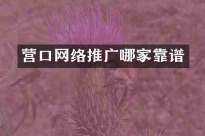营口网络推广哪家靠谱