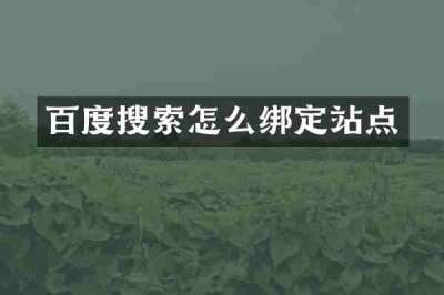 百度搜索怎么绑定站点