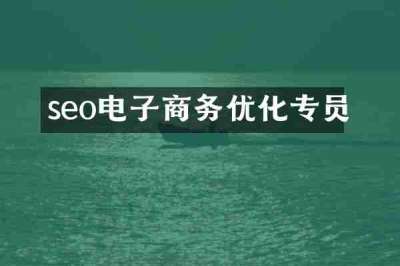 seo电子商务优化专员