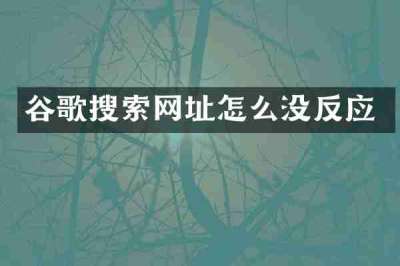 谷歌搜索网址怎么没反应