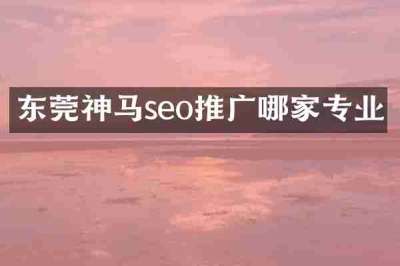 东莞神马seo推广哪家专业