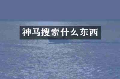 神马搜索什么东西
