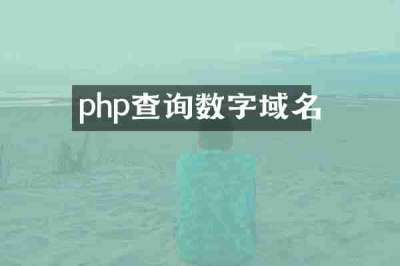 php查询数字域名