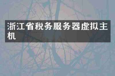 浙江省税务服务器虚拟主机