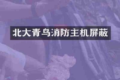 北大青鸟消防主机屏蔽