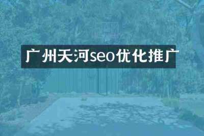 广州天河seo优化推广