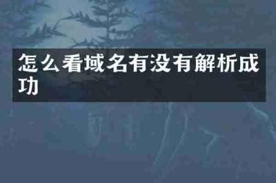 怎么看域名有没有解析成功
