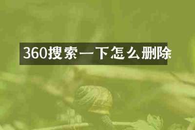 360搜索一下怎么删除