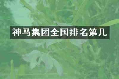 神马集团全国排名第几