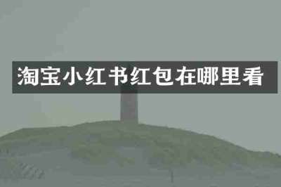 淘宝小红书红包在哪里看