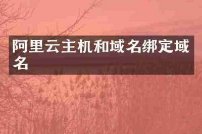 阿里云主机和域名绑定域名