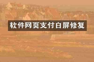 软件网页支付白屏修复
