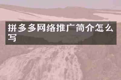 拼多多网络推广简介怎么写