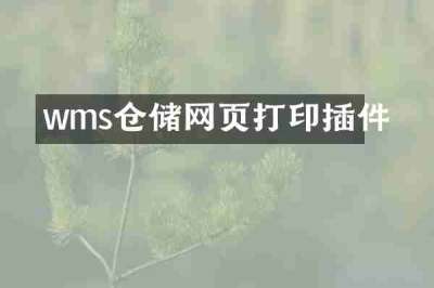 wms仓储网页打印插件