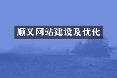 顺义网站建设及优化