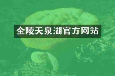 金陵天泉湖官方网站