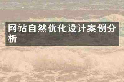 网站自然优化设计案例分析