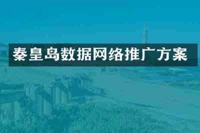 秦皇岛数据网络推广方案