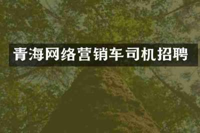 青海网络营销车司机招聘