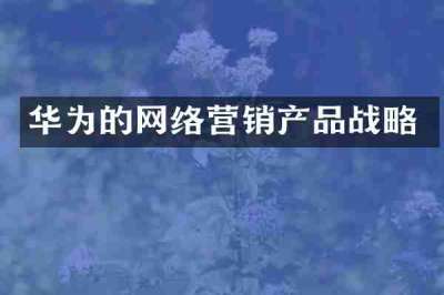 华为的网络营销产品战略