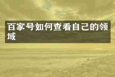 百家号如何查看自己的领域