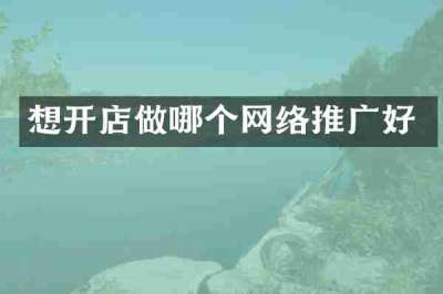 想开店做哪个网络推广好