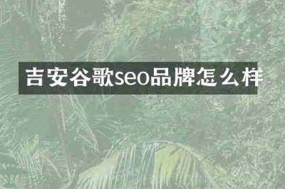吉安谷歌seo品牌怎么样