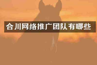 合川网络推广团队有哪些