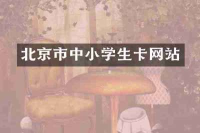 北京市中小学生卡网站