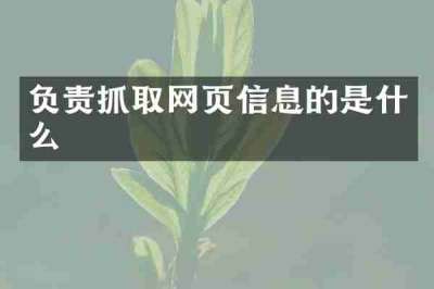 负责抓取网页信息的是什么