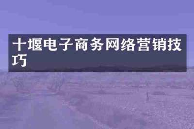 十堰电子商务网络营销技巧