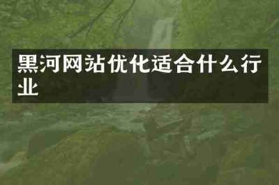 黑河网站优化适合什么行业