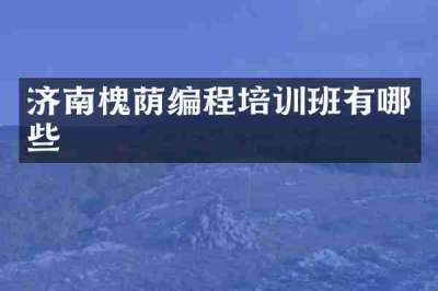 济南槐荫编程培训班有哪些