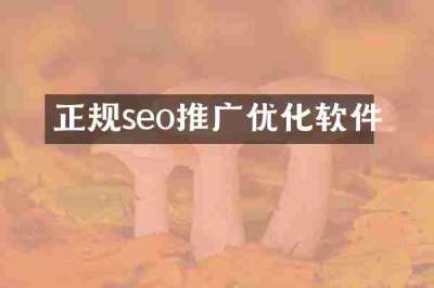 正规seo推广优化软件