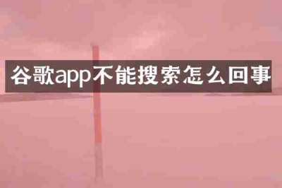 谷歌app不能搜索怎么回事