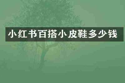 小红书百搭小皮鞋多少钱