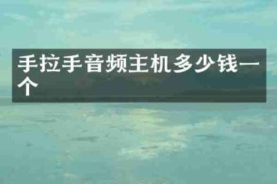 手拉手音频主机多少钱一个