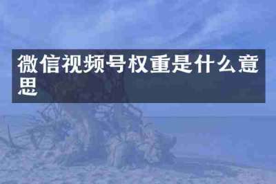 微信视频号权重是什么意思